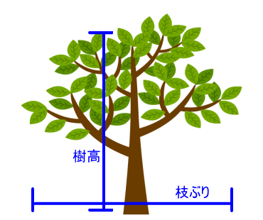 千葉　市原市　伐採工事　樹木イラスト